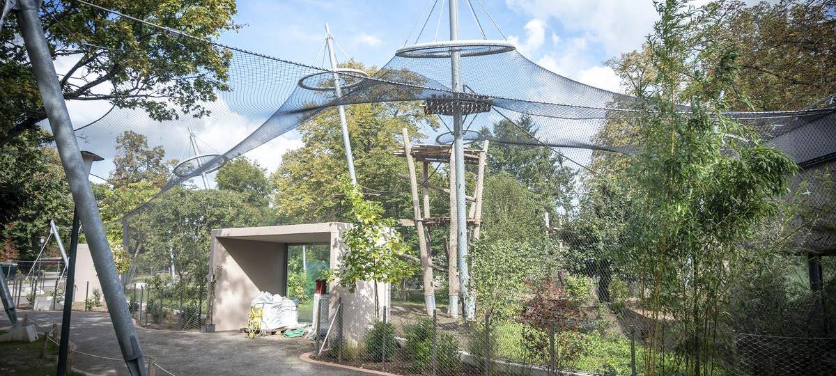 Krefelder Zoo weiht nach Brand sein neues Affenhaus ein