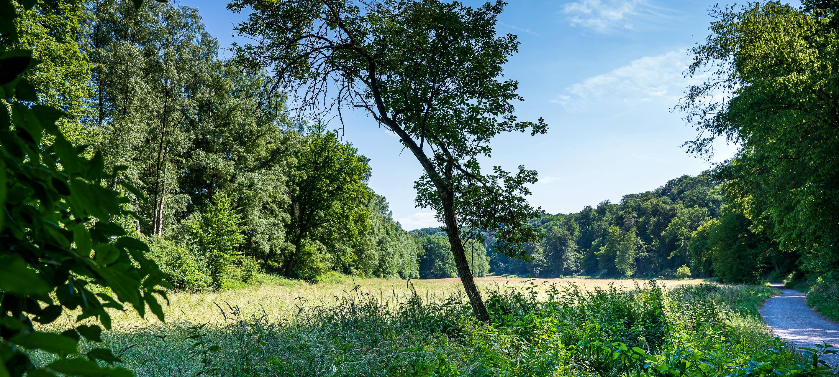 Endlich Herbstferien! Unsere besten "Raus-in-den-Herbst-Tipps"