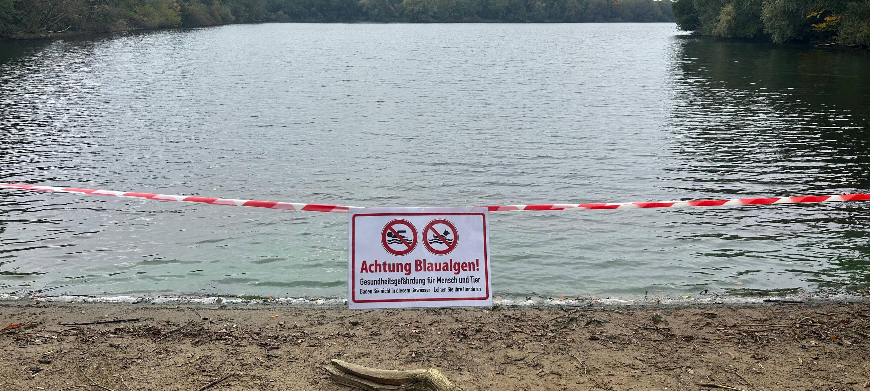 Blaualgen-Warnung auch im Tenderingssee in Hünxe