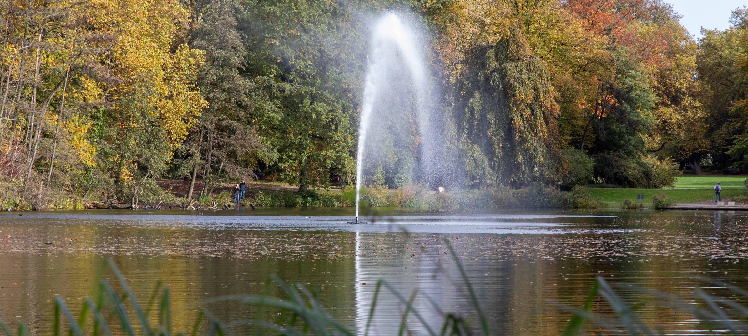 Endlich Herbstferien! Unsere besten "Raus-in-den-Herbst-Tipps"