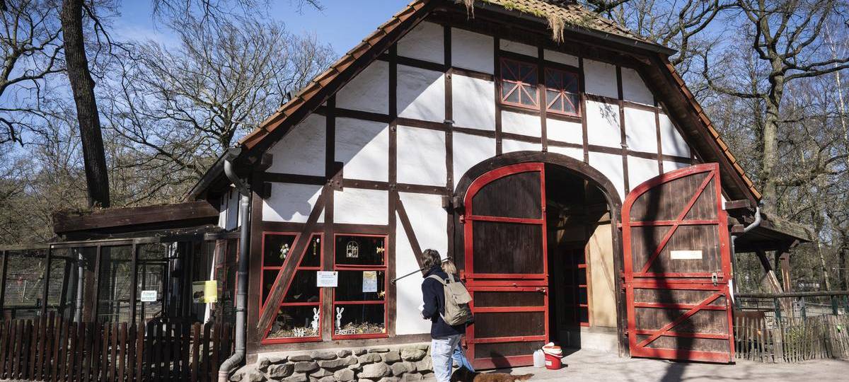 Kleinere Tierparks bei Ranking vor den großen Zoos