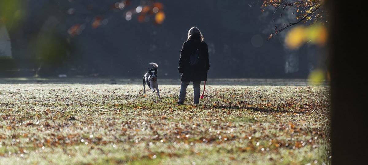 Rehriss in Dinslaken sorgt für Streit unter Hundehaltern