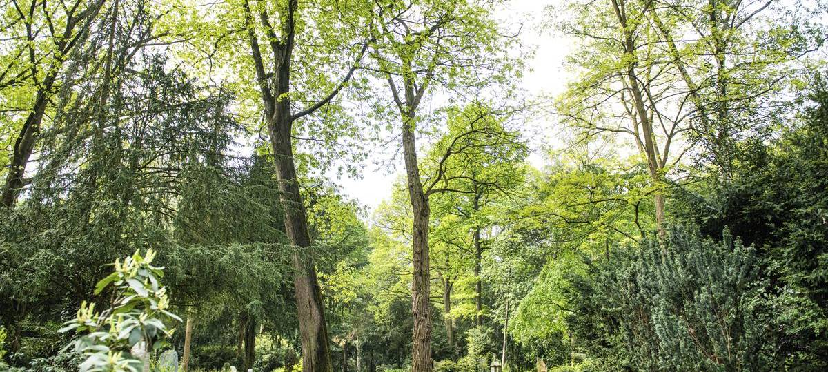 Friedhof am Dachsberg wird grüner und kleiner