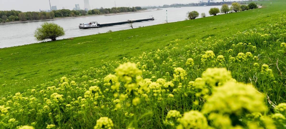 Eigentümer im Kreis Wesel gewinnen Streit um Deichbeiträge