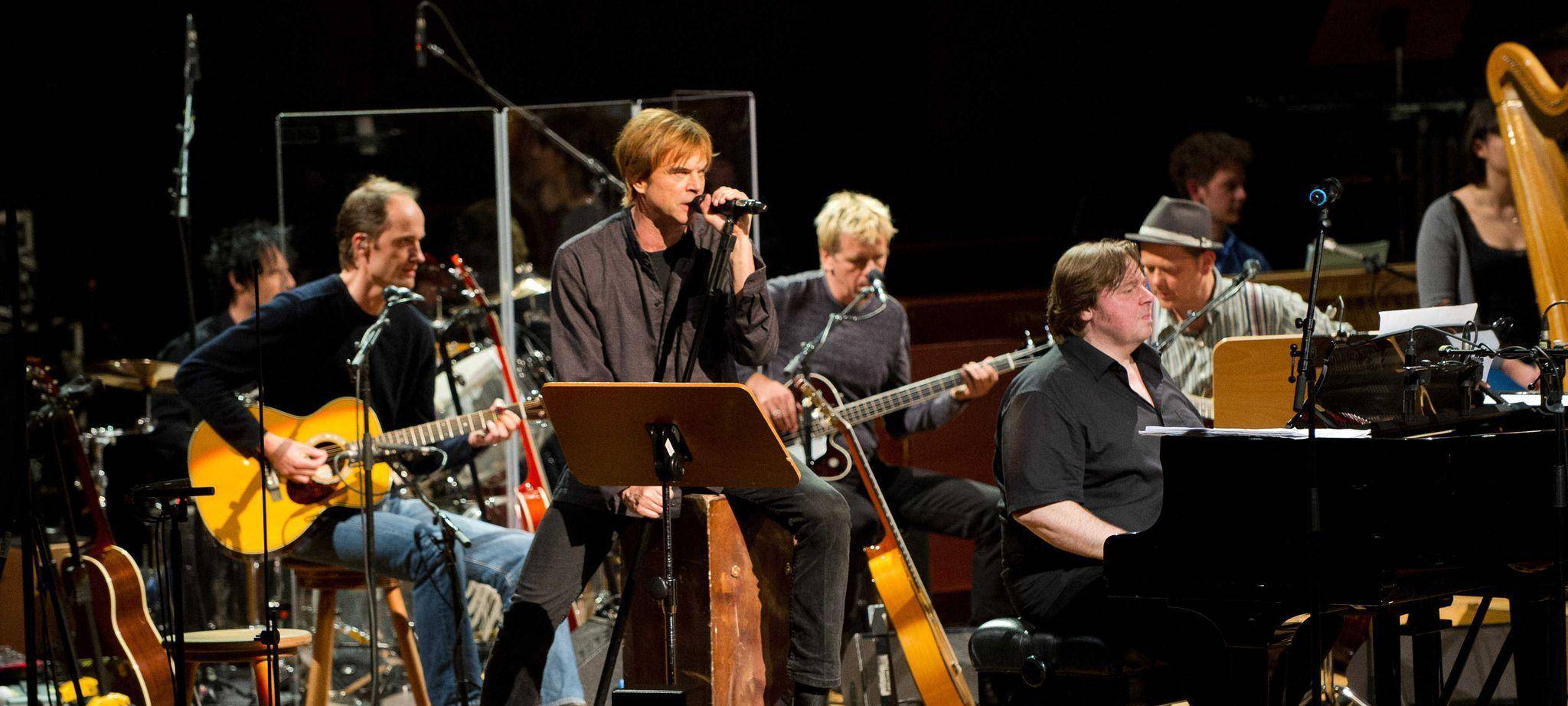 Konzert der Toten Hosen