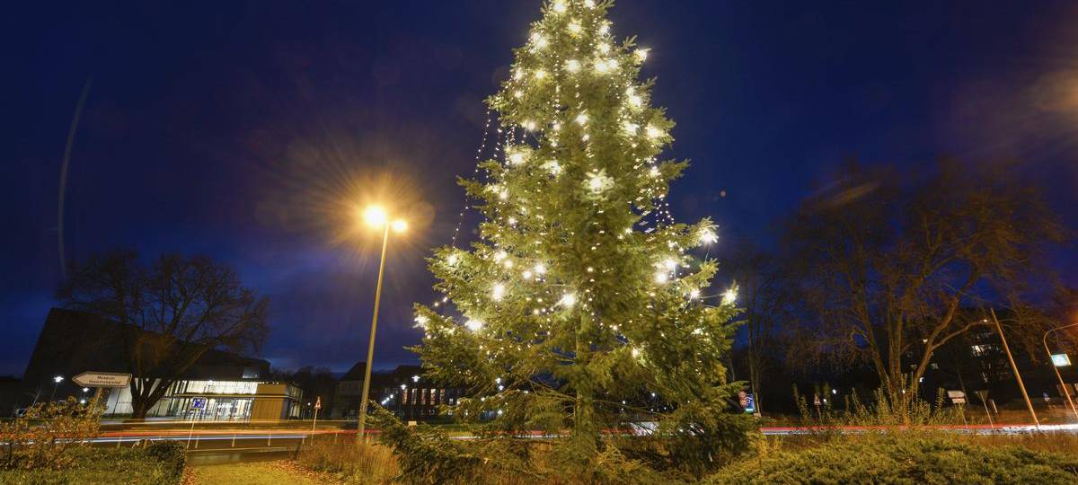 Dinslaken stellt weniger Weihnachtsbäume auf als sonst