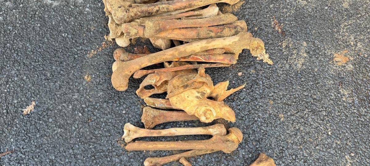 Neue Erkenntnisse nach Knochenfund in Wesel