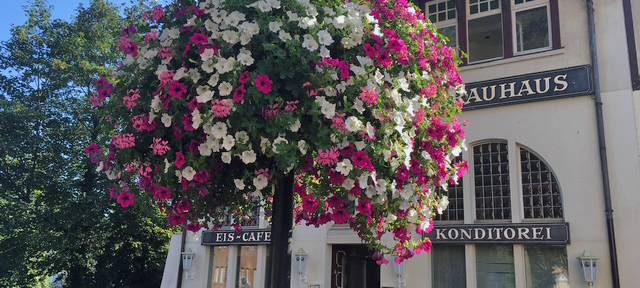 Moerser können für Blumenampeln in der Innenstadt spenden