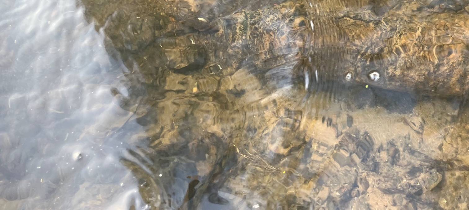 Blindgänger-Sprengung in Xanten-Birten