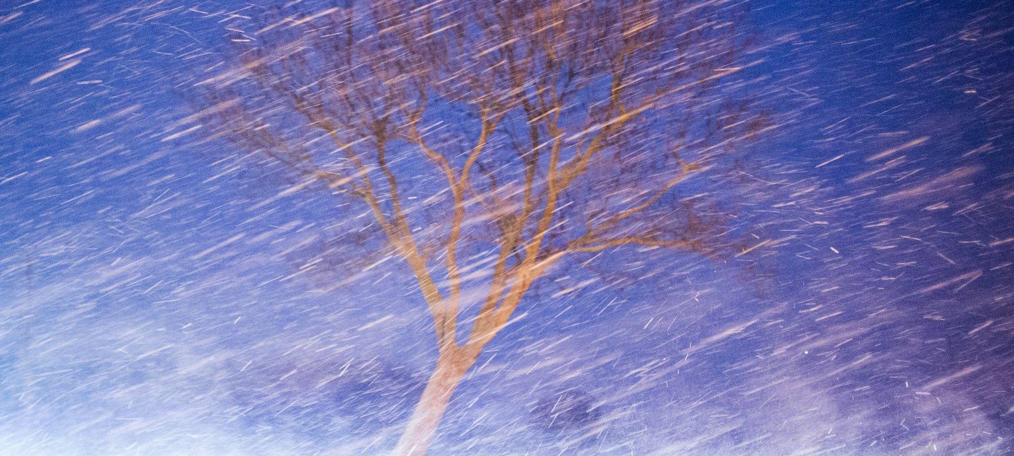 Starker Schneefall wirbelt bei Windböen über eine Landstraße