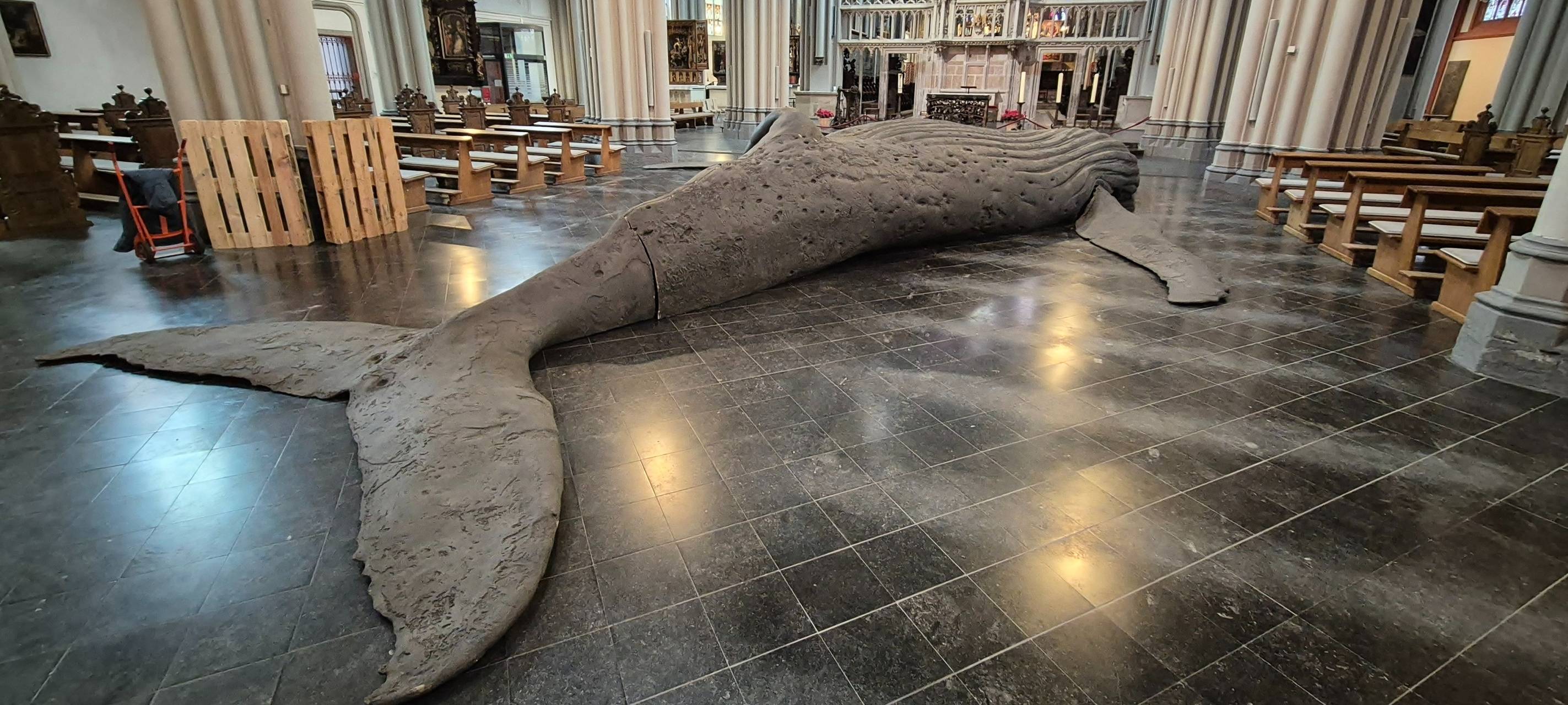 Wal-Skulptur wird im Xantener Dom ausgestellt