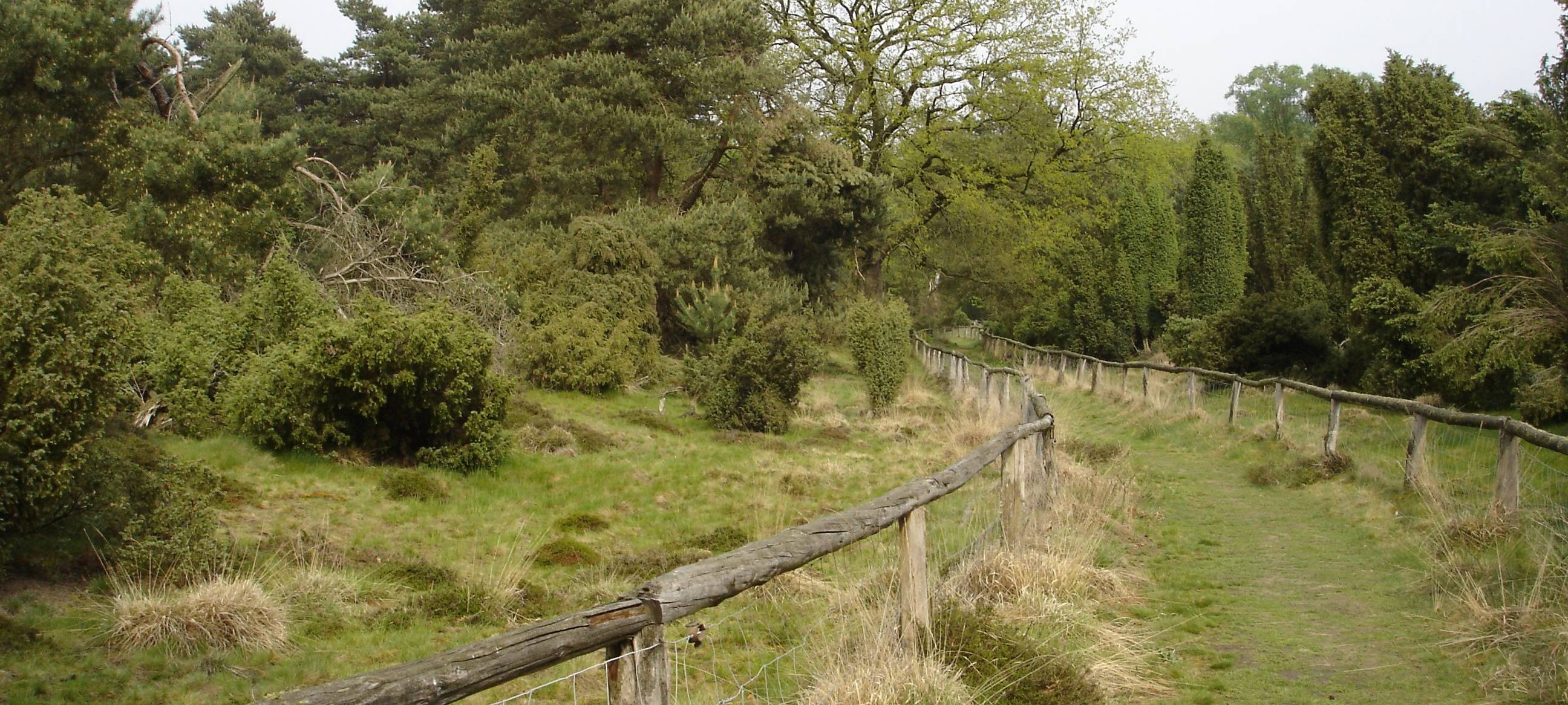 Arbeiten im Schermbecker Naturschutzgebiet Loosenberge