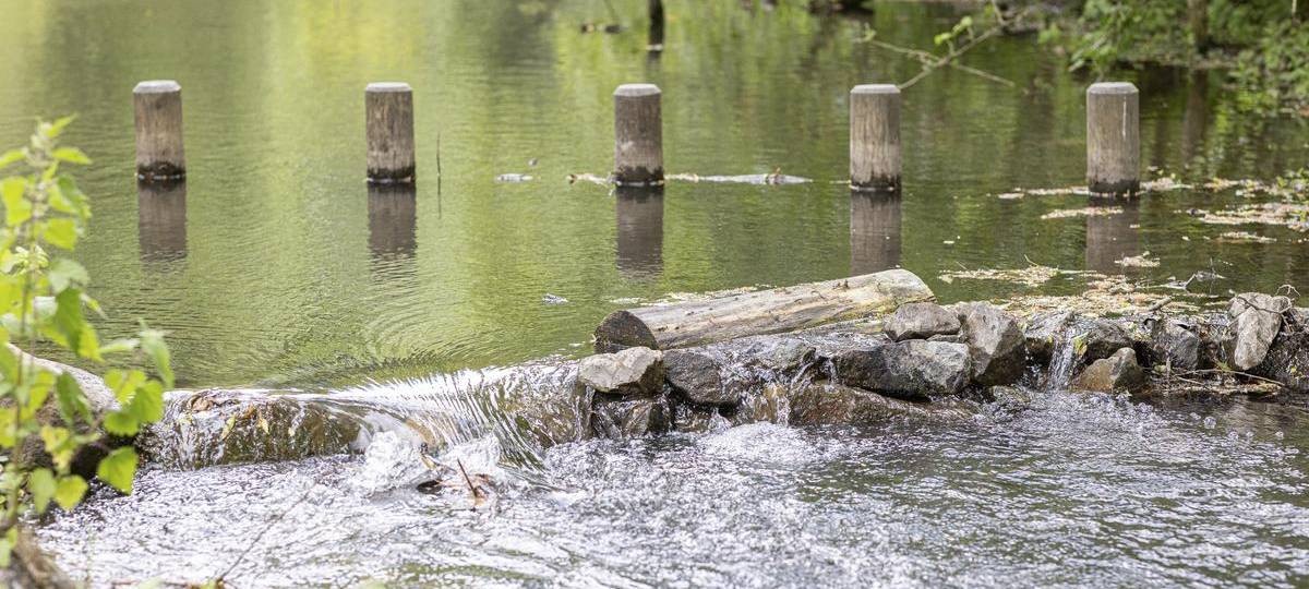 Fischtreppe im Moersbach wird nach Vandalismus repariert
