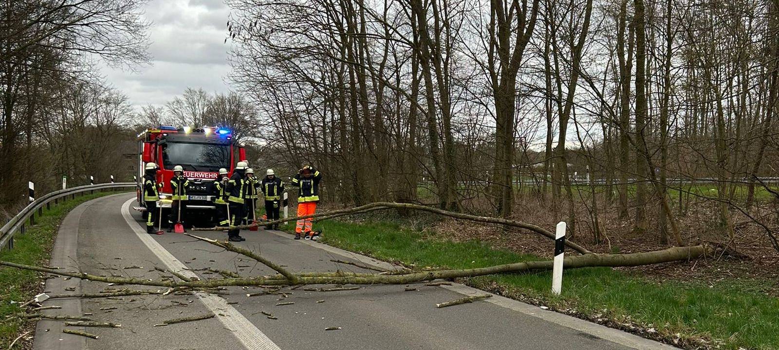 Umgestürzter Baum versperrt A57-Auffahrt in Sonsbeck