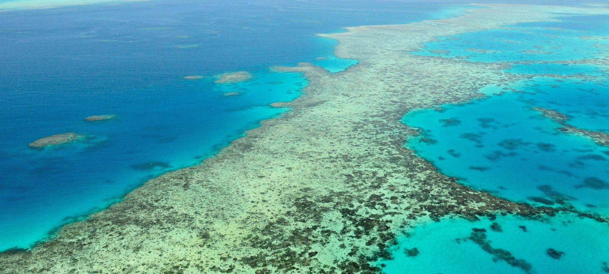 Great Barrier Reef in Australien