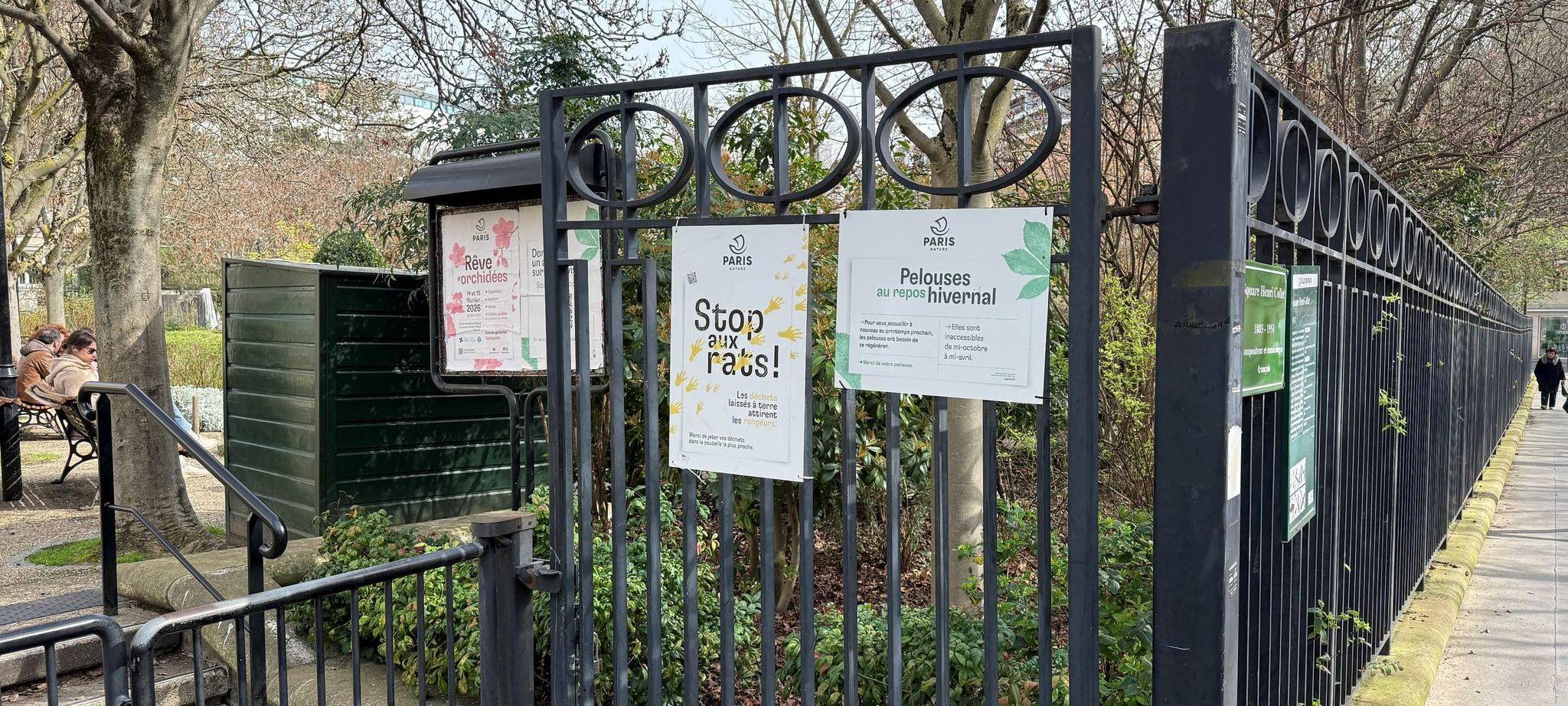 Wahlkampf in Paris - Millionen Ratten sorgen für Streit