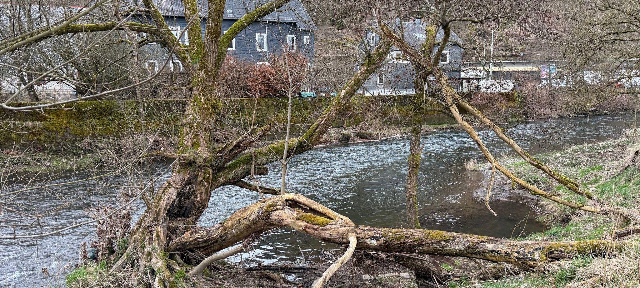 Kind fällt in die Sieg - bewusstlos geborgen