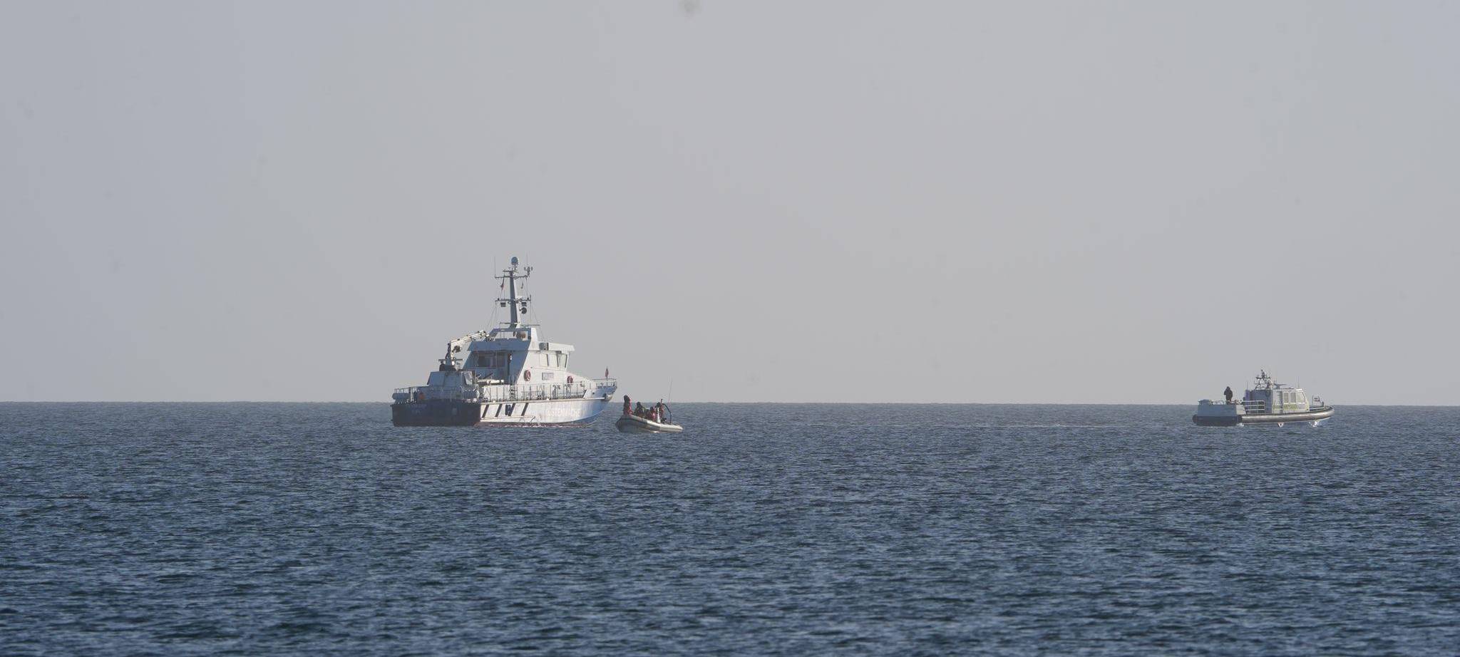 Wal an der Ostseeküste wieder frei