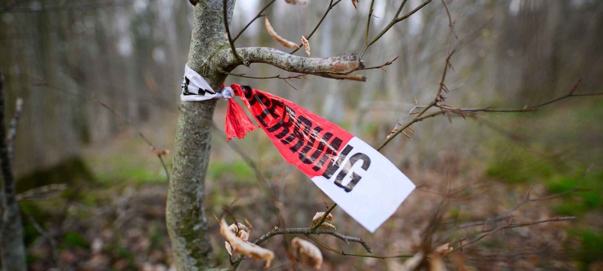 Baum umgestürzt - Drei Tote bei Flensburg