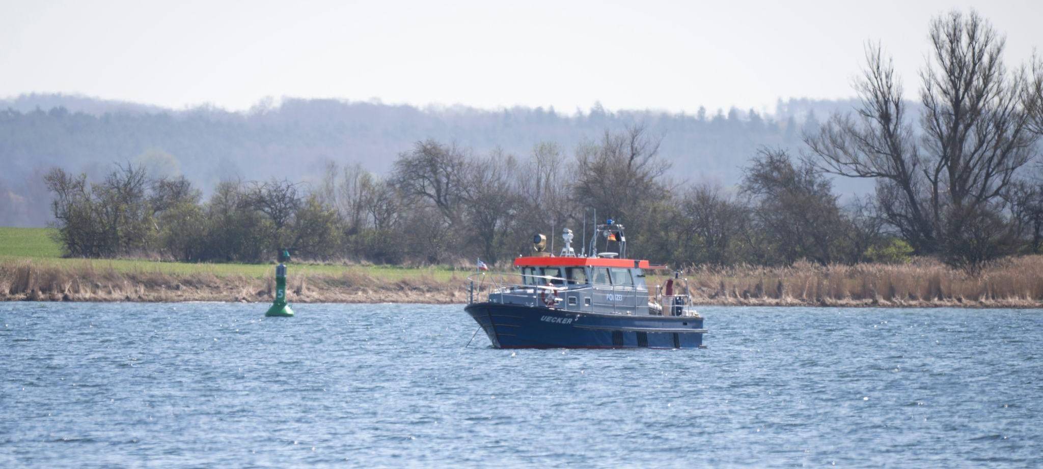 Gestrandeter Buckelwal in Wismarbucht