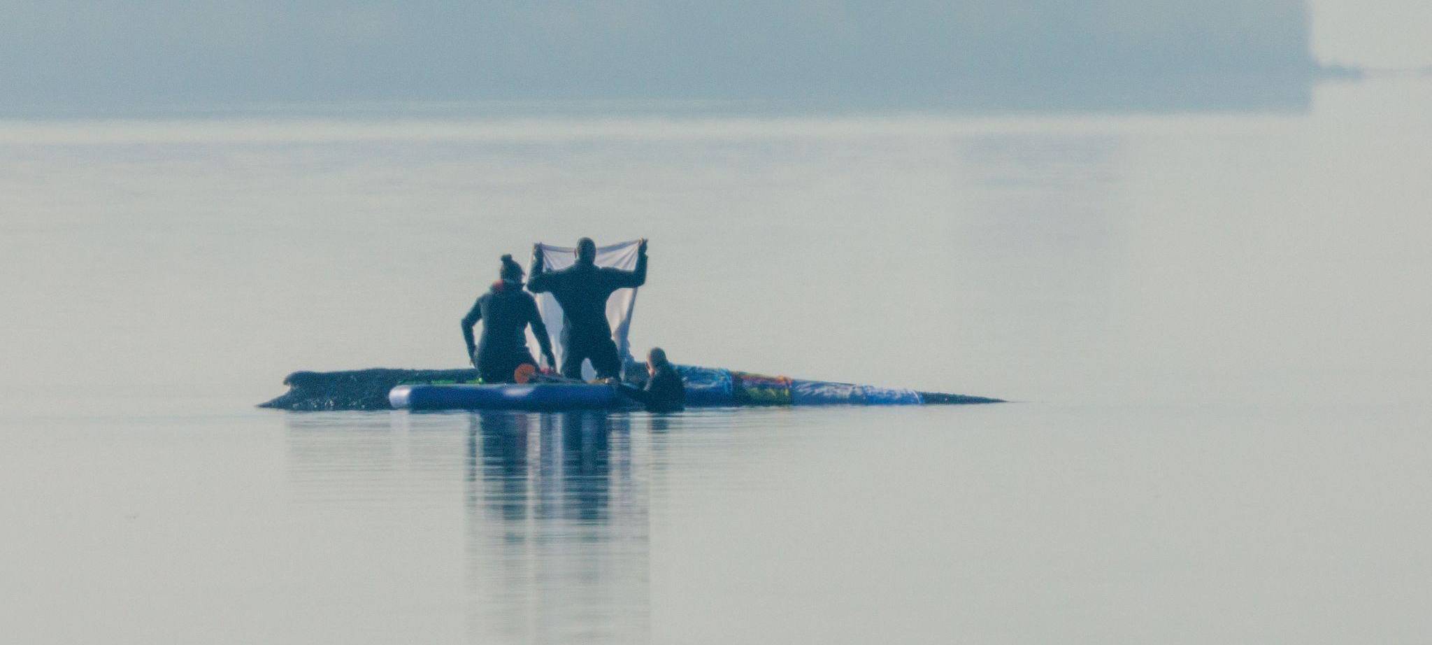Rettungsaktion für den Buckelwal