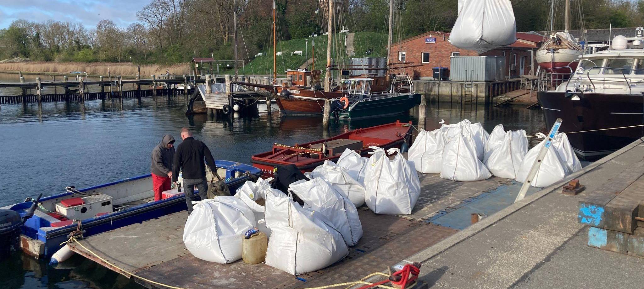 Weitere Entwicklung zum Buckelwal in der Ostsee