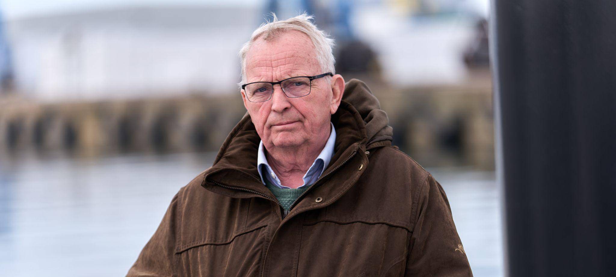 Buckelwal liegt in Wismarer Bucht