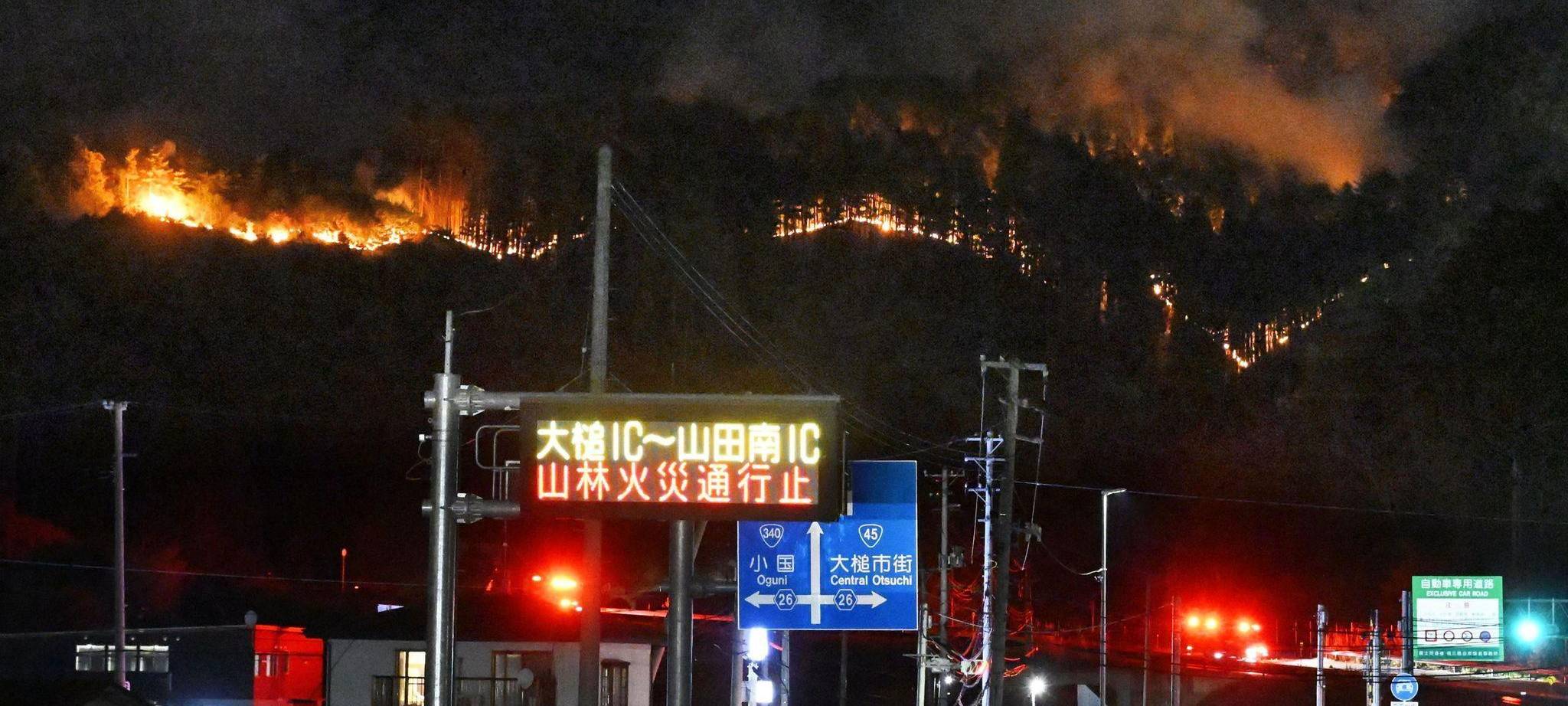 Waldbrand im Nordosten Japans
