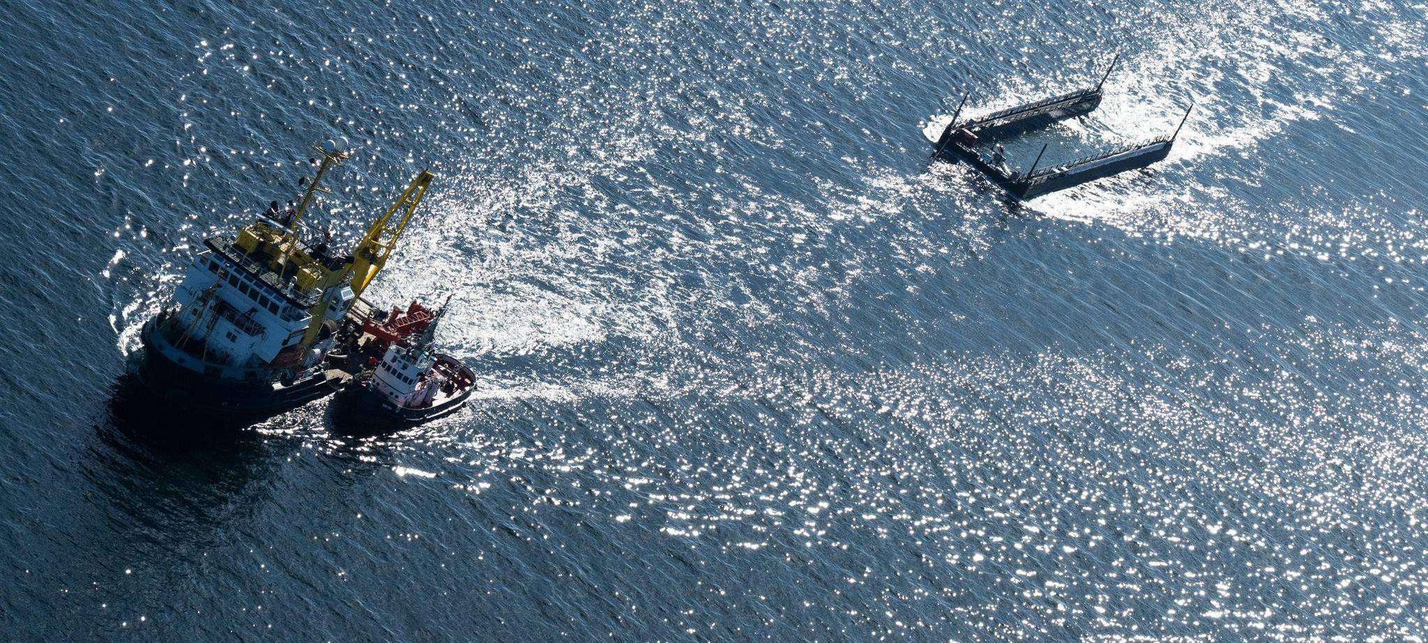 Weitere Entwicklung zum Buckelwal in der Ostsee