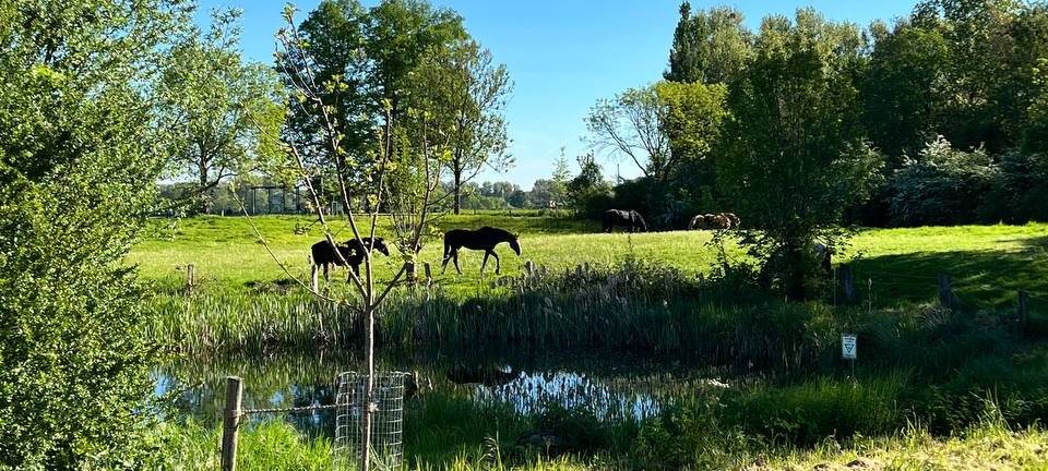 Der Top-Job - NRWs coolster Arbeitsplatz 2026