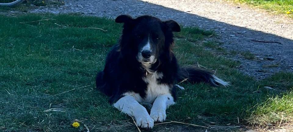 Der Top-Job - NRWs coolster Arbeitsplatz 2026