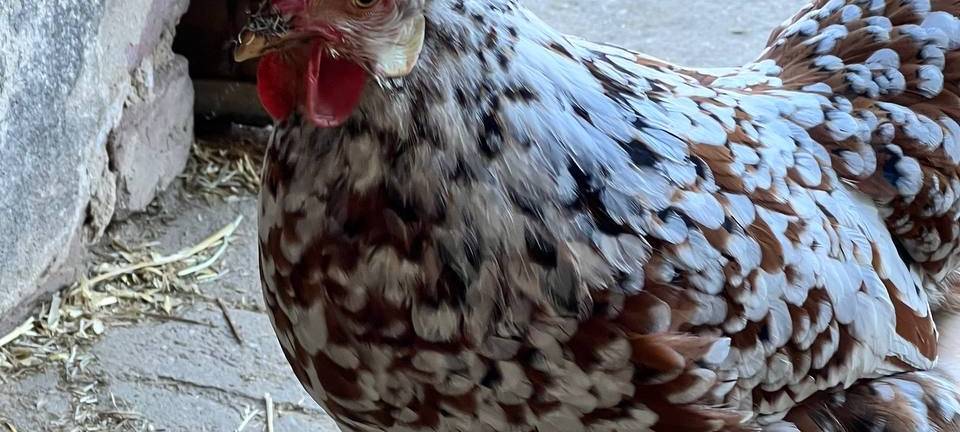 Der Top-Job - NRWs coolster Arbeitsplatz 2026