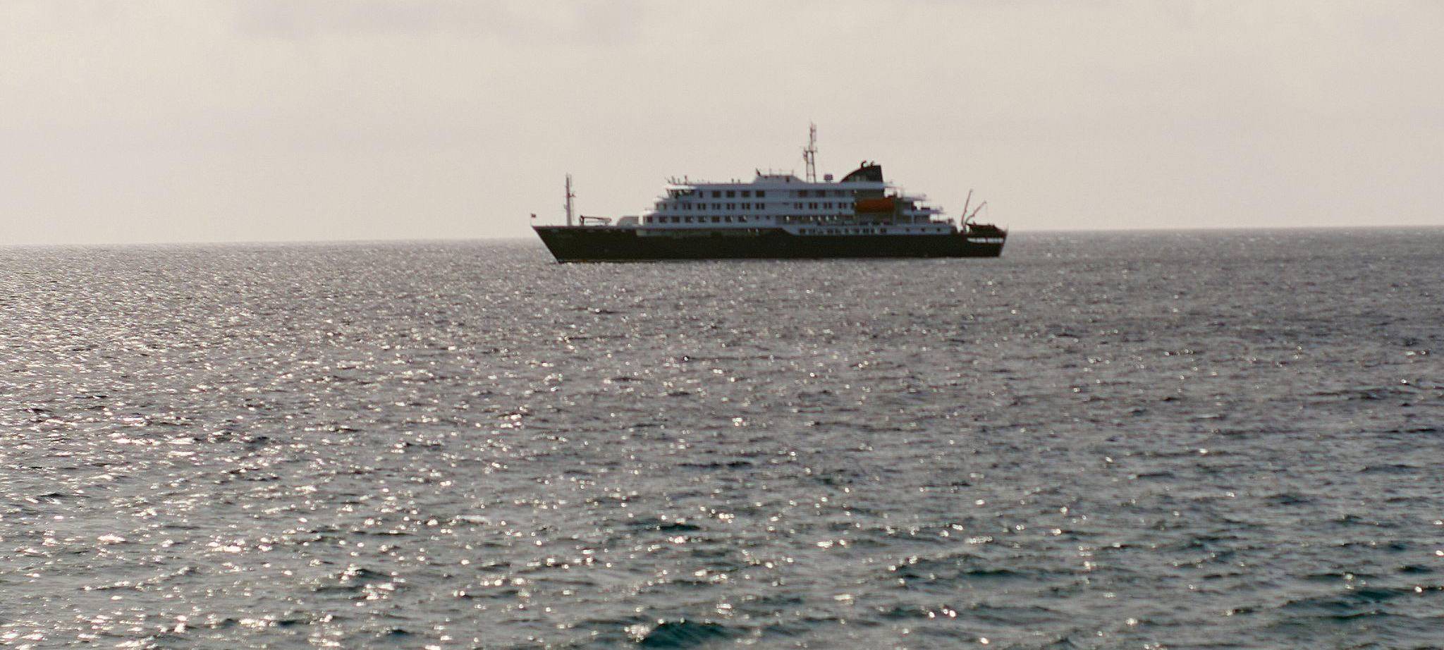 Drei Tote nach Hantavirus-Ausbruch auf Kreuzfahrtschiff