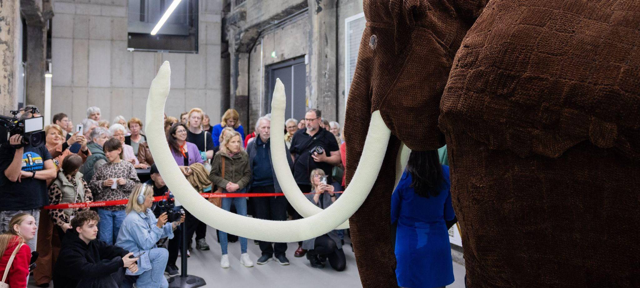 Gehäkeltes Mammut - Rekord