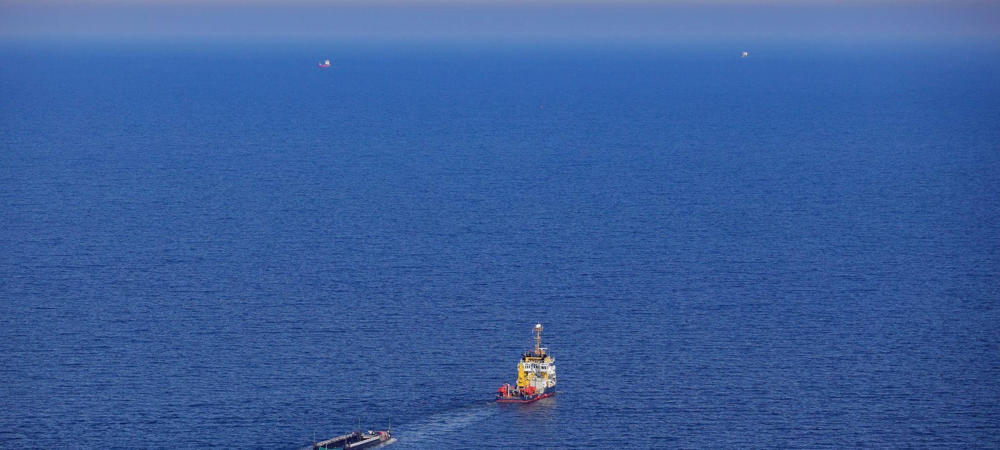 Weitere Entwicklung zum Buckelwal in der Ostsee