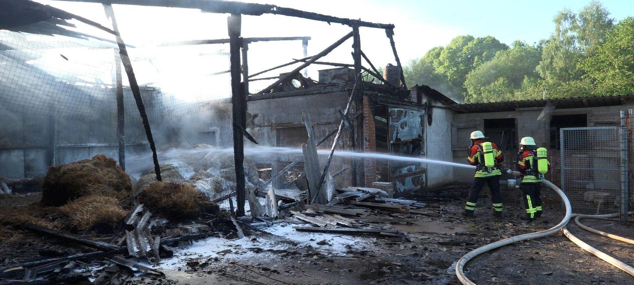 Brand auf Geflügelhof