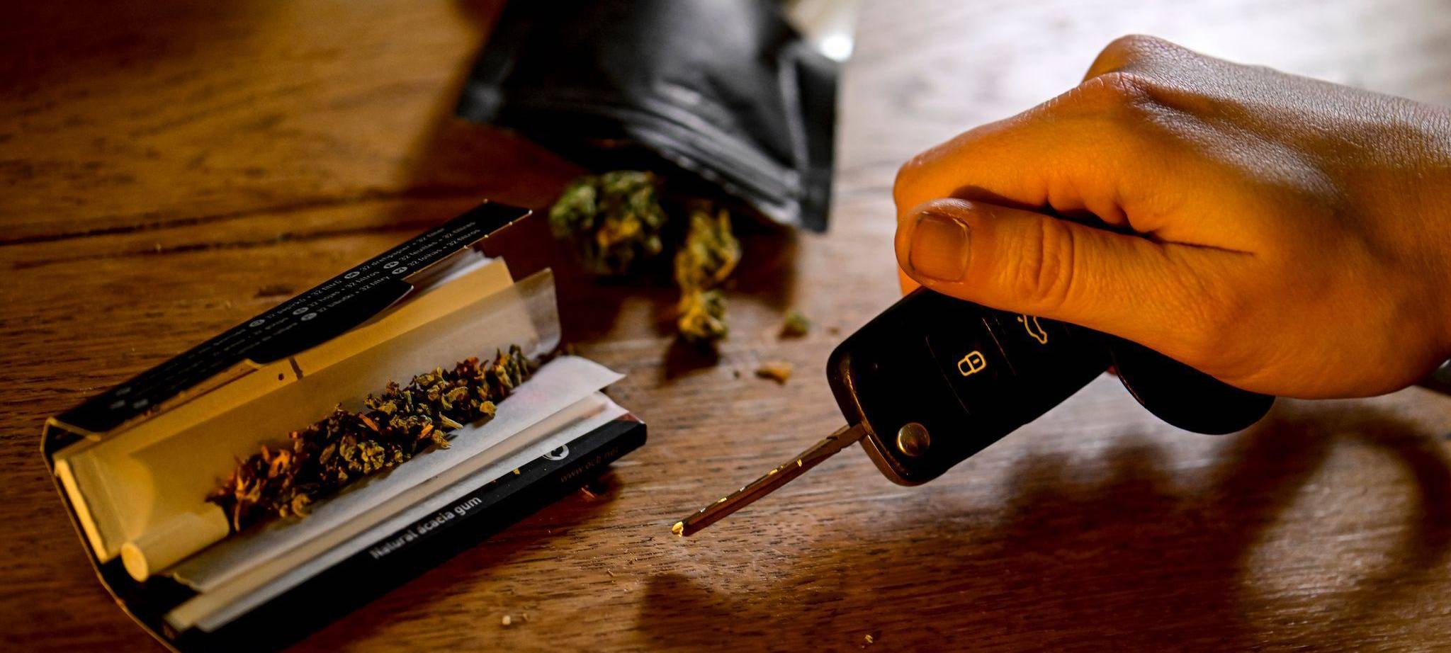 Cannabis