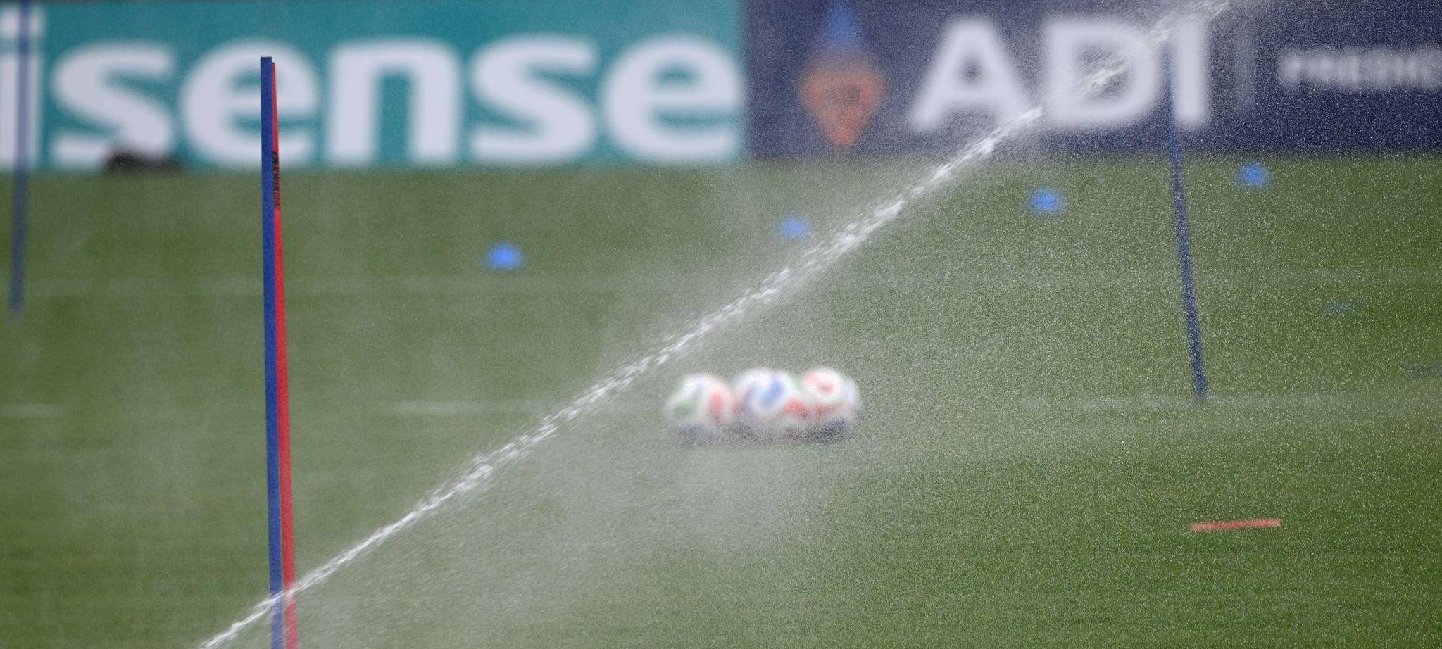 Rasen im DFB-Trainingsstadion