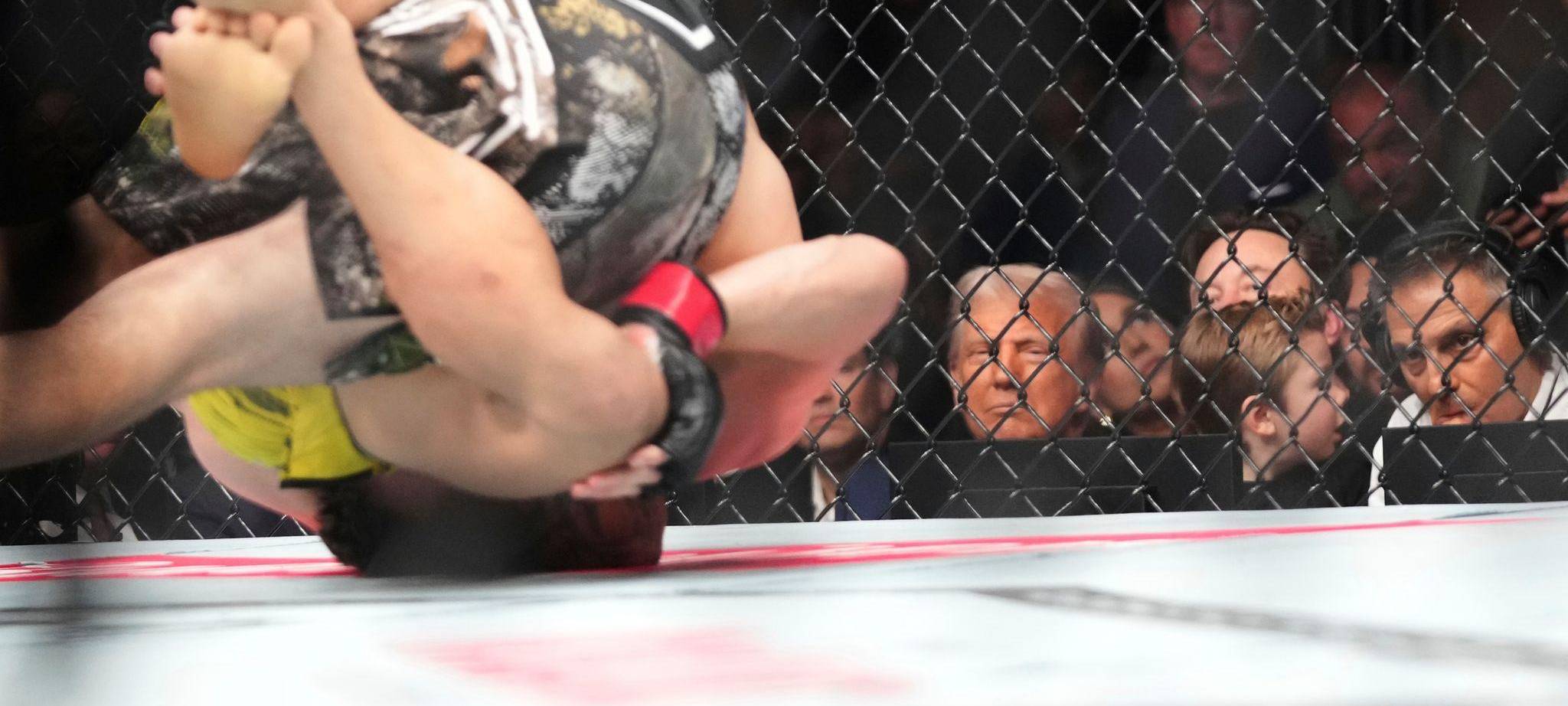 Trump und Musk mit Sohn beim Ultimate Fighting