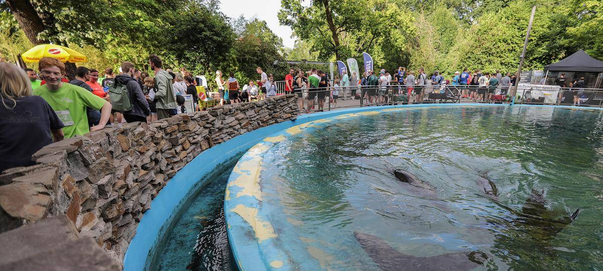 Anmeldungen für tierischen Laufspaß Ende Juni in Duisburg