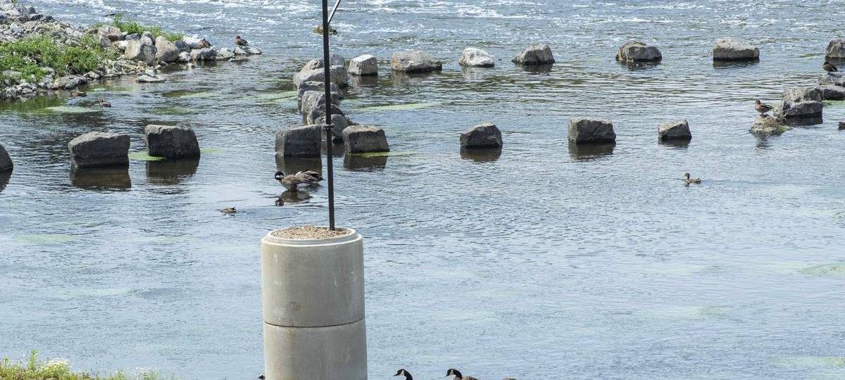 Dinslaken bekommt Aquarellgarten an der Emschermündung