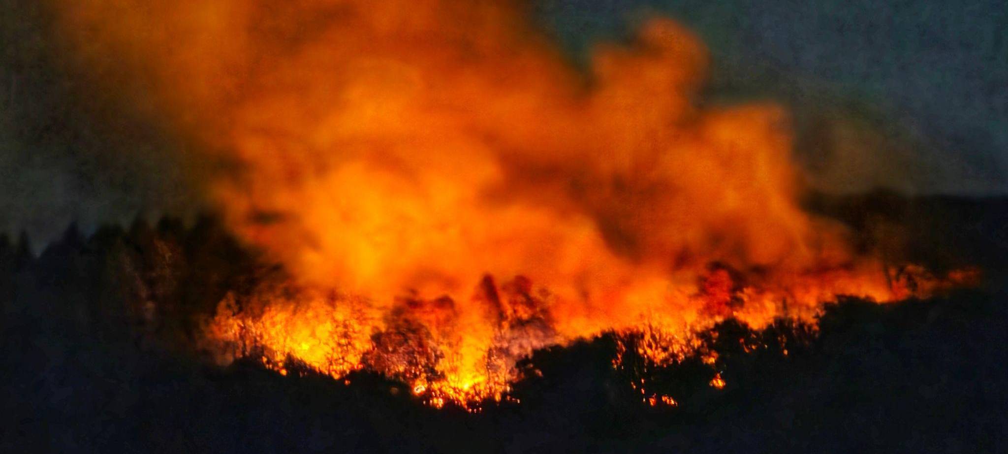 Brand in Waldgebiet mit Kampfmitteln