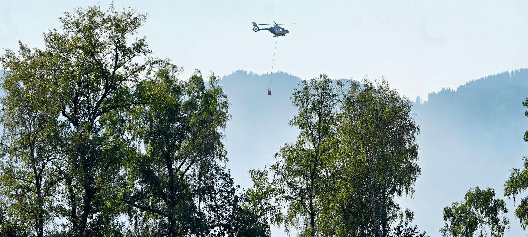 Waldbrand am Chiemsee