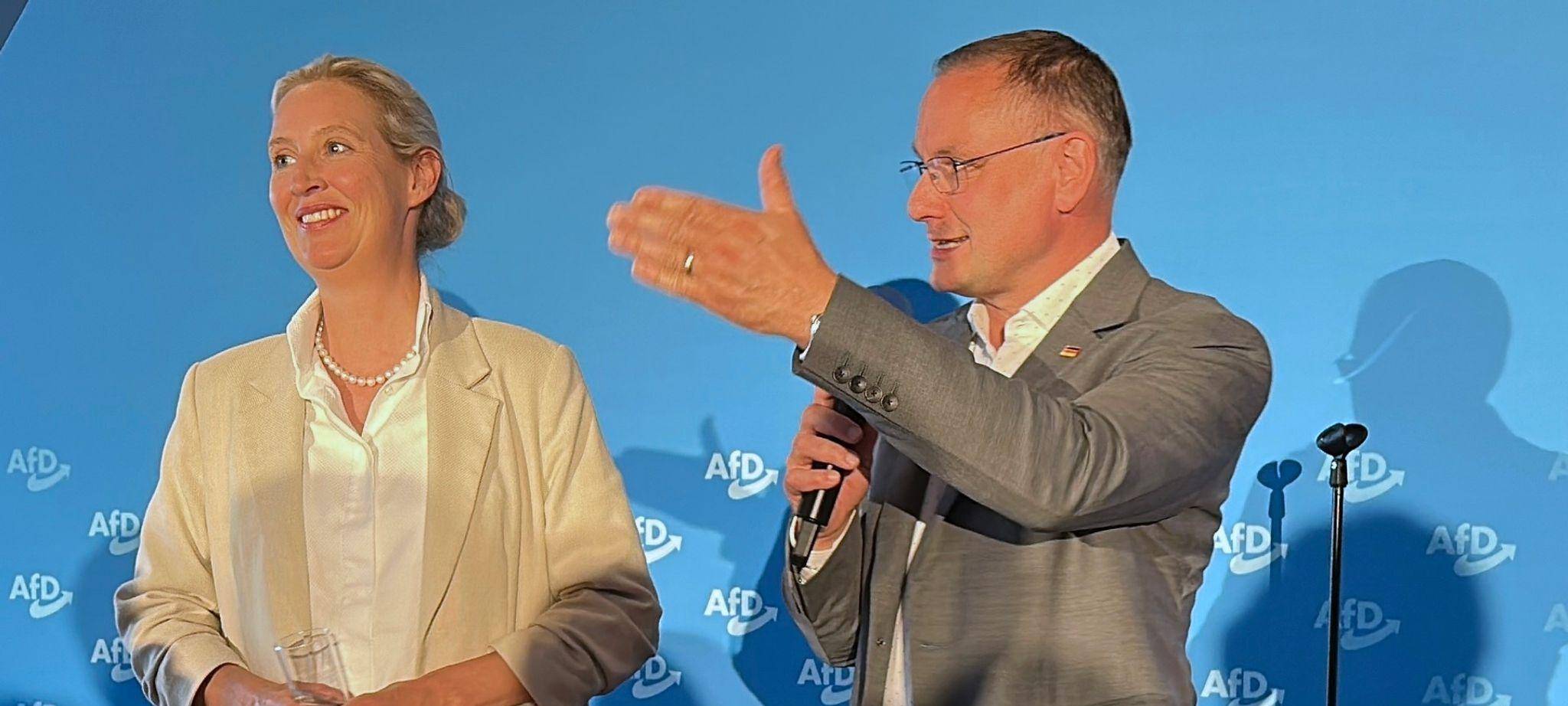 AfD-Parteitag