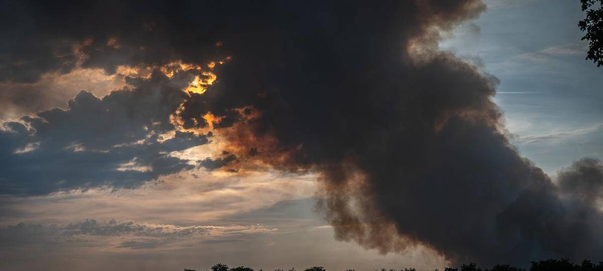 Großer Waldbrand im niederländischen Grenzgebiet bei Oostrum
