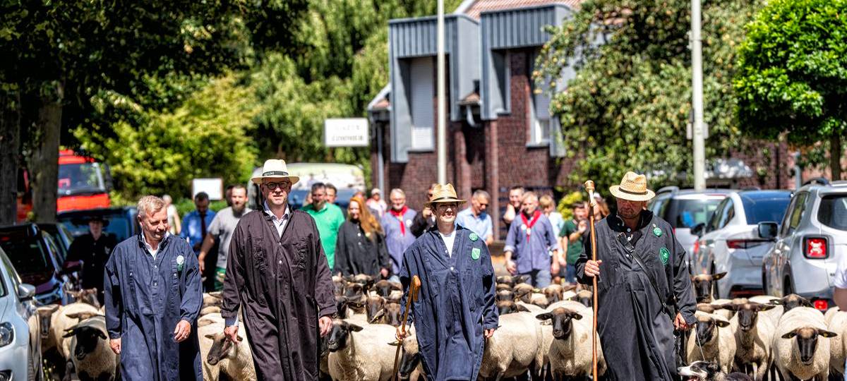Gahlen Schafmarkt zeigt Sorgen der Schäfer im Kreis Wesel