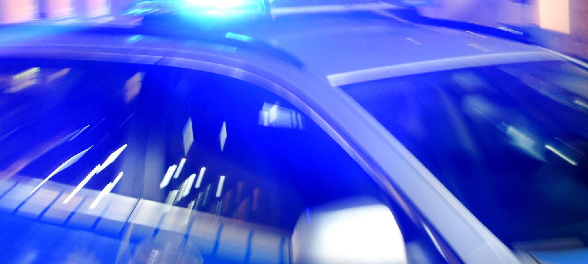 Menschlicher Torso in Waldstück gefunden – Polizei ermittelt