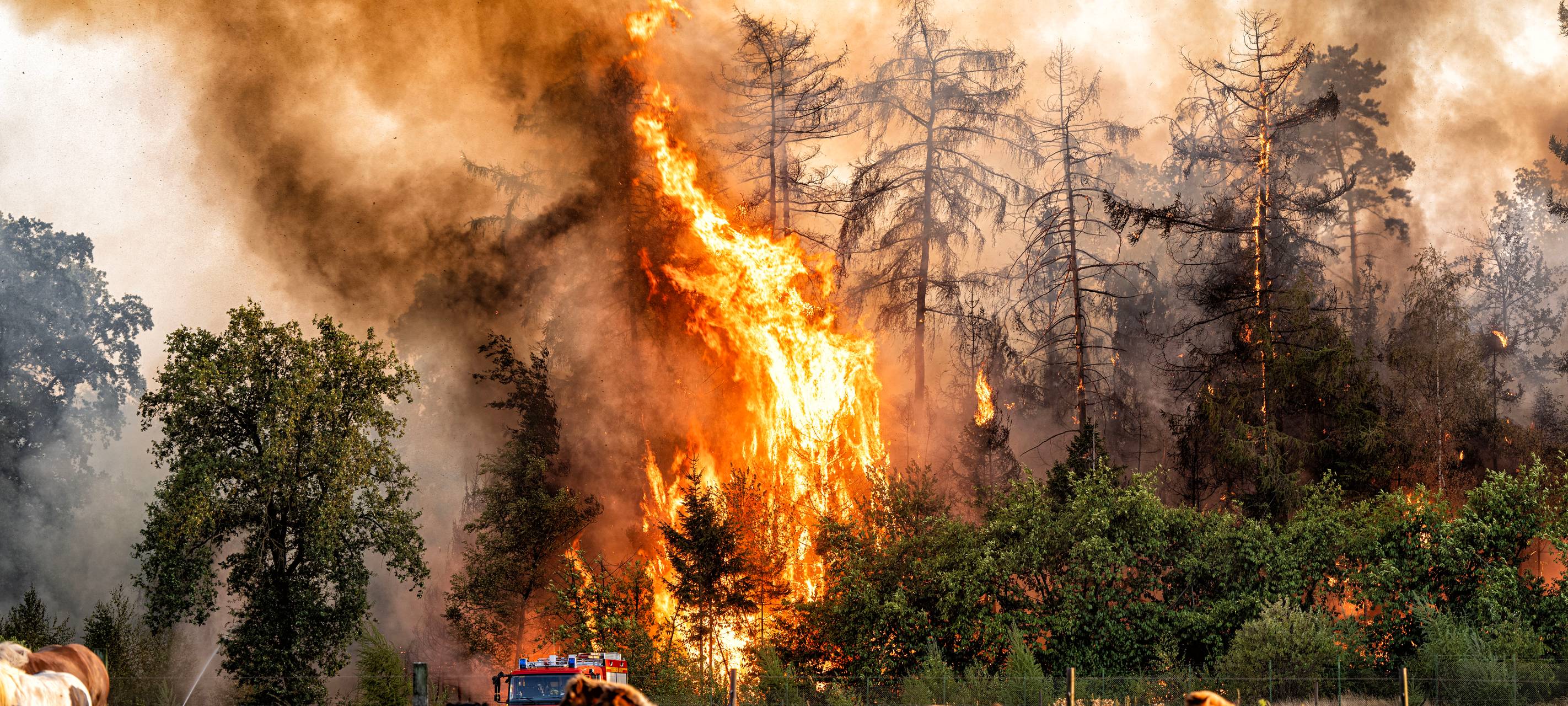 Waldbrand in Sonsbeck-Labbeck: Feuerwehr bekämpft Glutnester