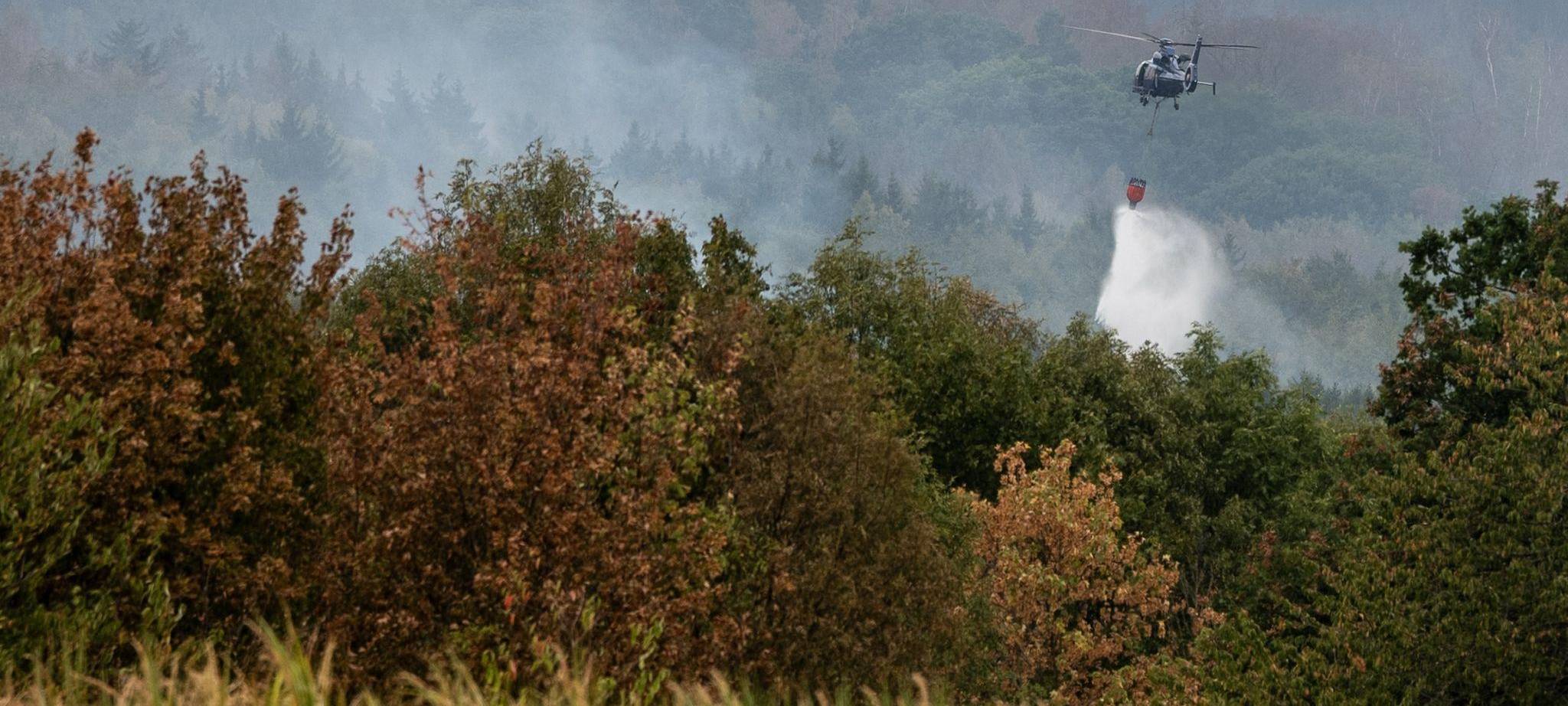 Waldbrand im Hürtgenwald
