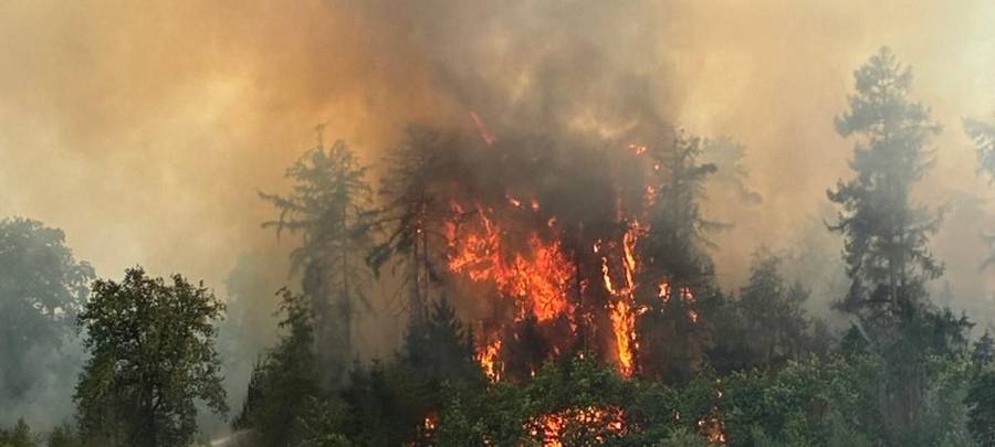 Waldbrand in Sonsbeck nach Großeinsatz endgültig beendet